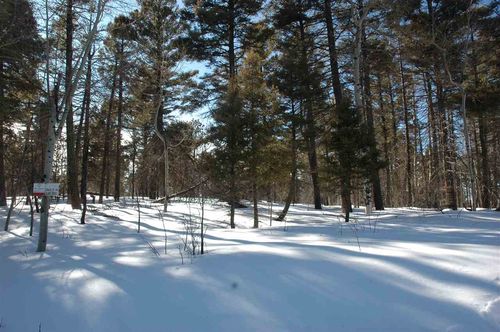 302 S Vail Overlook, Angel Fire, NM, 87710 | Card Image