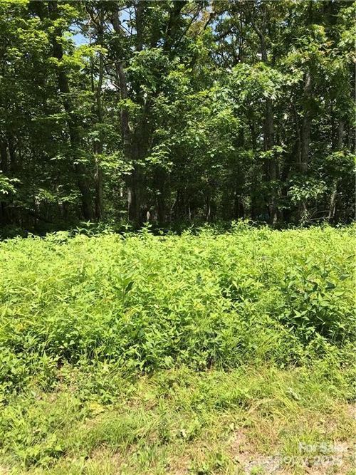 d-20-0000 Eagle Roost Run, Boone, NC, 28607 | Card Image
