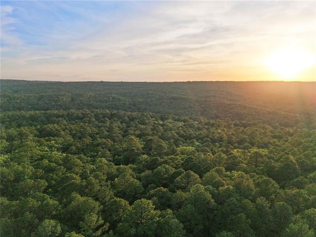 53 - 53 Homestead Trl, Home with 0 bedrooms, 0 bathrooms and null parking in Moyers OK | Image 6