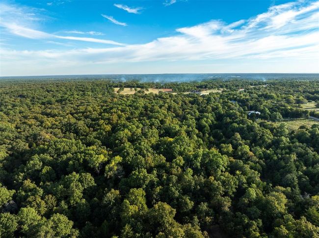 Drone / aerial view with a view of trees | Image 25
