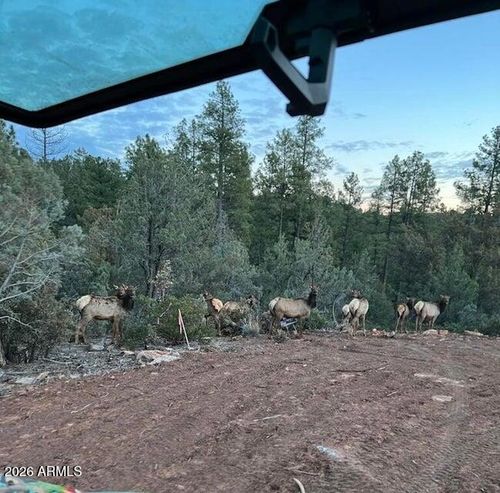 1b-0 Fawn Dr --, Pine, AZ, 85544 | Card Image