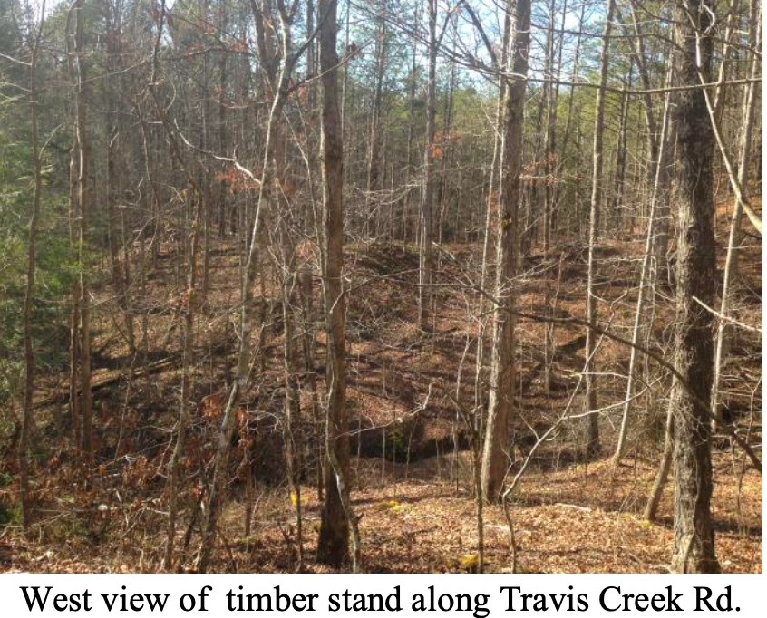 Land in Mckee 5