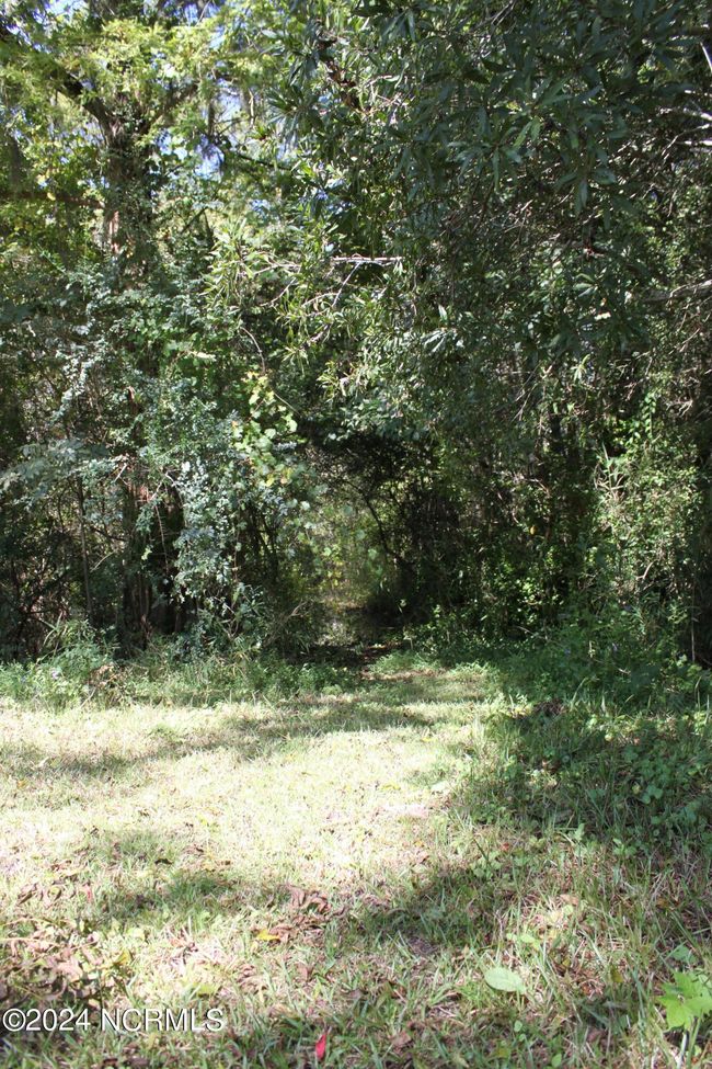 419 Cannons Ferry Rd, Home with 0 bedrooms, 0 bathrooms and null parking in Tyner NC | Image 18