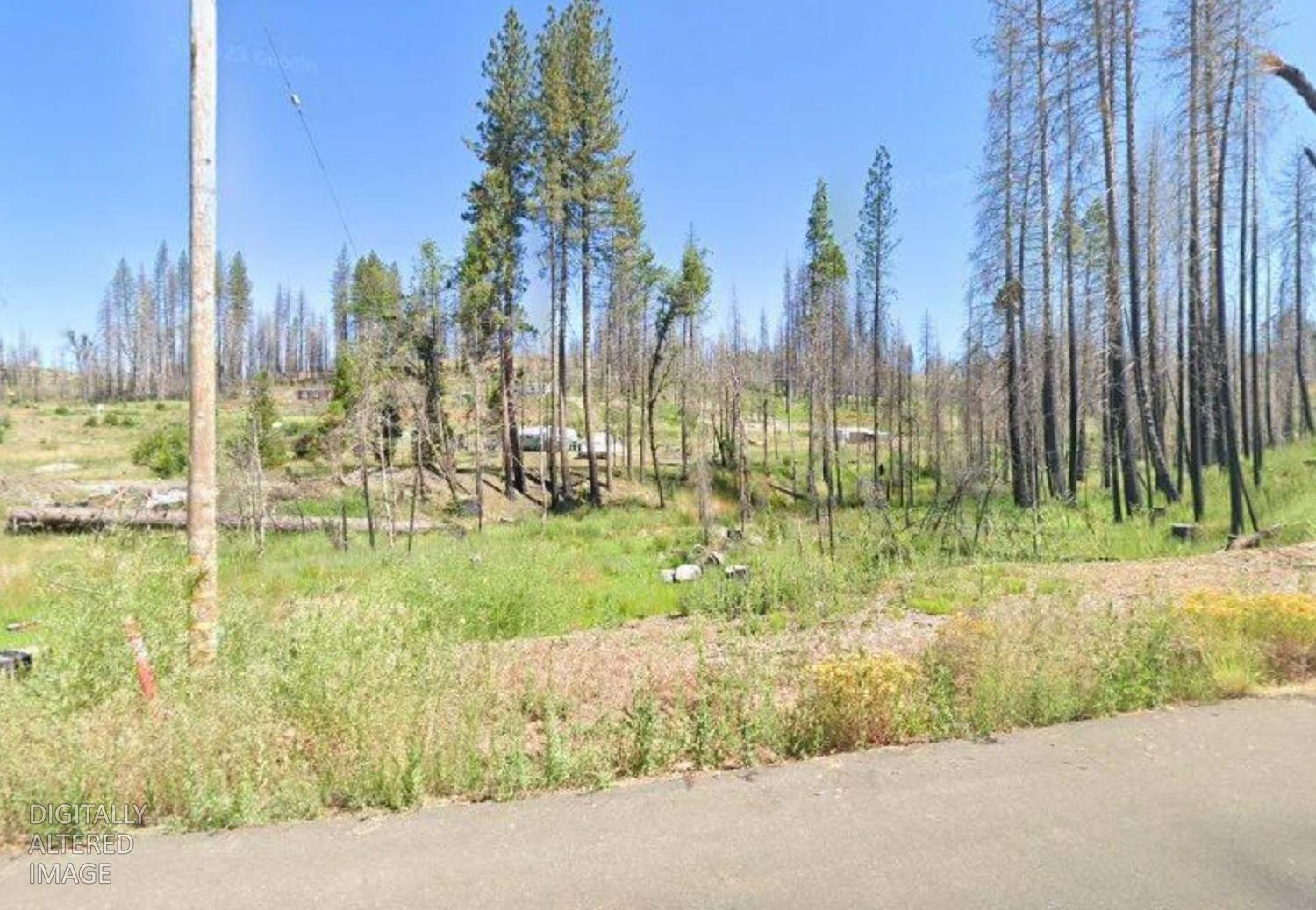 Land in Grizzly Flats