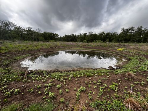 747 County Road 467, Thrall, TX, 76578 | Card Image