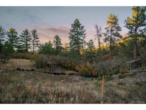 11011 Sunset Oaks Pl, Franktown, CO, 80116 | Card Image