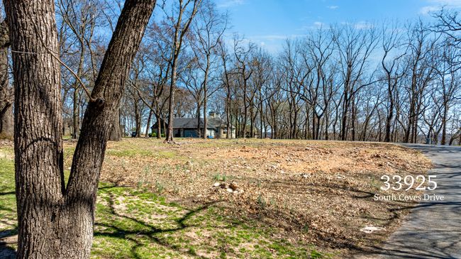 33925 South Coves Drive-12 | Image 11