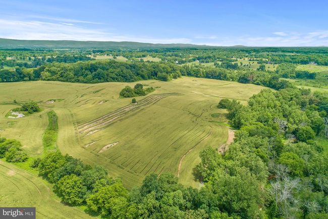 8160 Frogtown Rd, Home with 0 bedrooms, 0 bathrooms and null parking in MARSHALL VA | Image 19