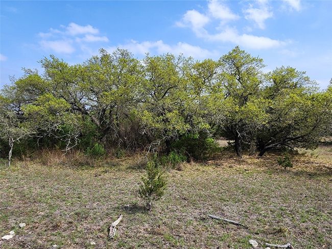 212 Oak Glen Ln, Home with 0 bedrooms, 0 bathrooms and null parking in Briggs TX | Image 22