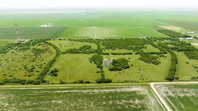 000 Old Gin Rd, Home with 0 bedrooms, 0 bathrooms and null parking in Bayside TX | Image 21