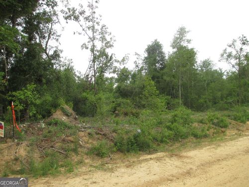 08600008T6 Hayride Rd, Lumber City, GA, 31549 | Card Image