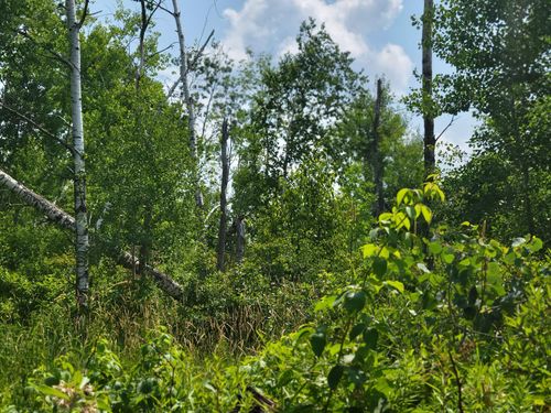 1608 30th Street, Beaver Twp, WI, 54889 | Card Image