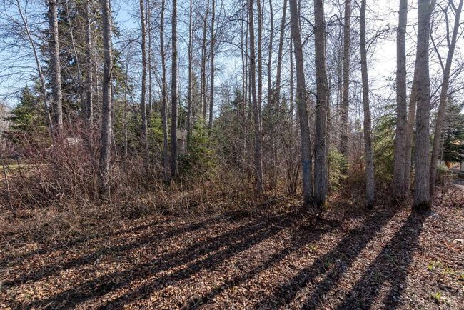 916 Brightsand Place, Home with 0 bedrooms, 0 bathrooms and null parking in Brightsand Lake SK | Image 4