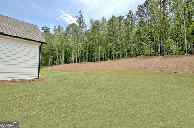 112 Ryeland Dr, House other with 4 bedrooms, 4 bathrooms and 3 parking in Senoia GA | Image 79