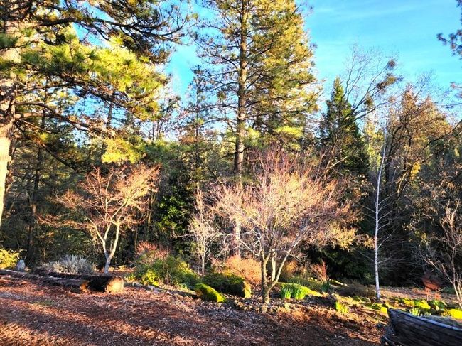 955 Grinding Rock Ct, House other with 3 bedrooms, 2 bathrooms and null parking in West Point CA | Image 38
