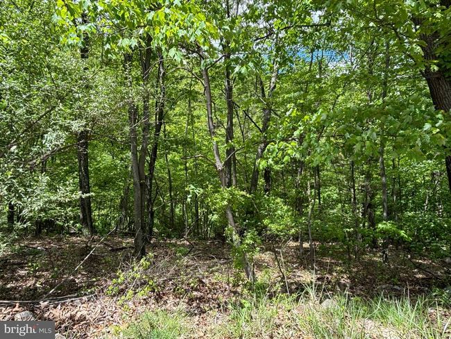 LOT 4 Yost Rd, Home with 0 bedrooms, 0 bathrooms and null parking in New Creek WV | Image 21