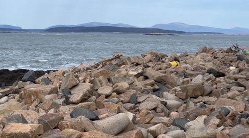 0 Butler Road, Frenchboro, ME, 04635 | Card Image