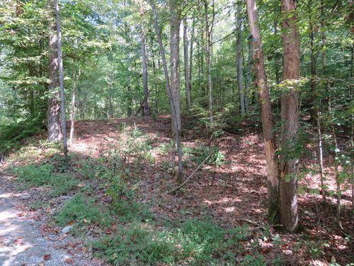 0 Bugg Hollow Rd, GALLATIN, TN, 37066 | Card Image