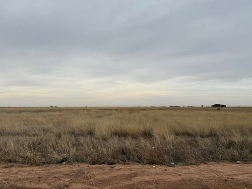 11202 N Fm 400, Idalou, TX, 79329-6182 | Card Image