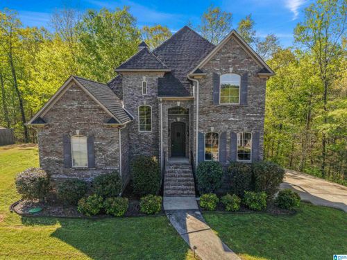 487 Fossil Rock Rd, SPRINGVILLE, AL, 35146-7373 | Card Image