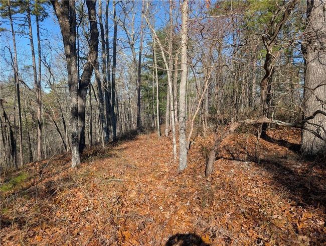 1400 Foxhound Trl Ne, Home with 0 bedrooms, 0 bathrooms and null parking in Ranger GA | Image 7