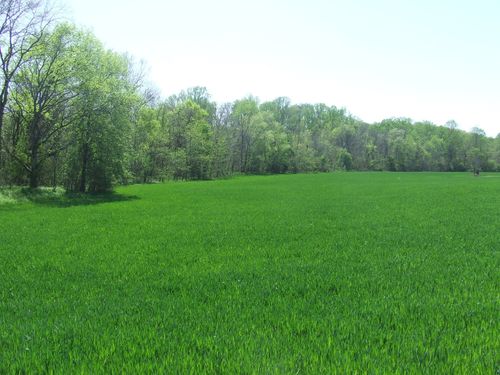 0 Old Wells Rd, Morrison, TN, 37357 | Card Image