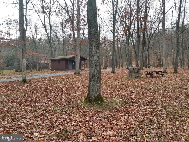 598 Honey Locust Ln, House other with 3 bedrooms, 2 bathrooms and null parking in GREAT CACAPON WV | Image 33