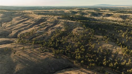 TBD Blue Rd, Roundup, MT, 59073 | Card Image