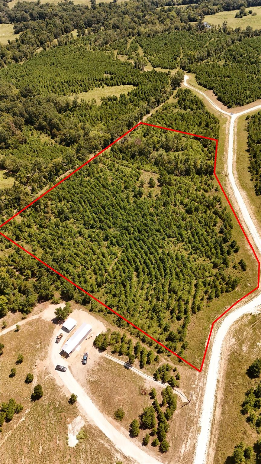 Land in Lovelady 4