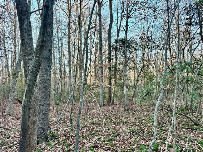 00 Farmstead Rd, Home with 0 bedrooms, 0 bathrooms and null parking in Seagrove NC | Image 26