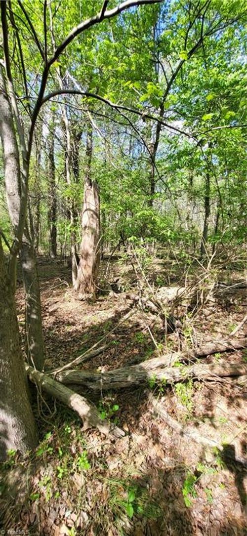 1642 R2 Kersey Valley Road, Archdale, NC, 27265 | Card Image