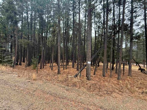 40 Valle Grande Trl S, Angel Fire, NM, 87710 | Card Image