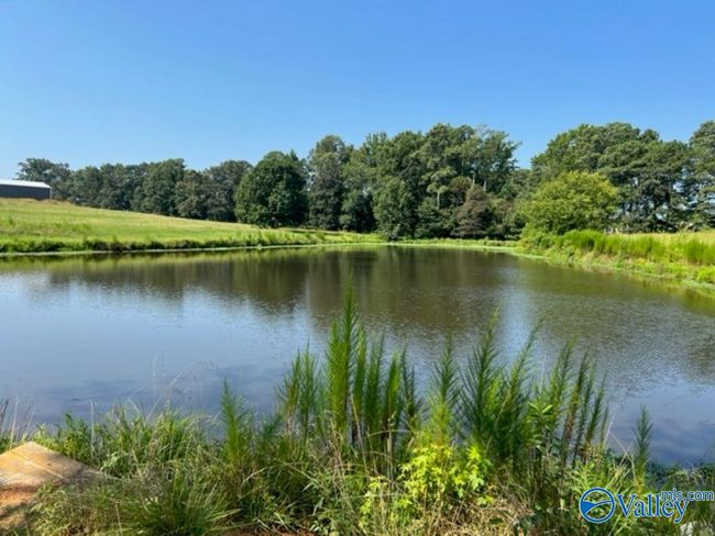 3269 Highway 55 E, House other with 5 bedrooms, 4 bathrooms and null parking in Eva AL | Image 4