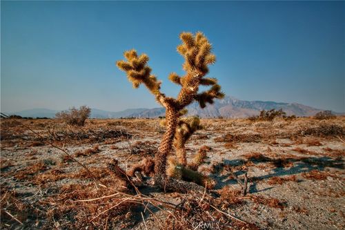 0 8th St, Desert Hot Springs, CA, 92240 | Card Image