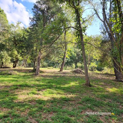 Nestled amidst mature walnut trees, this property is a haven for wildlife enthusiasts and those who appreciate the serenity of nature. | Image 1