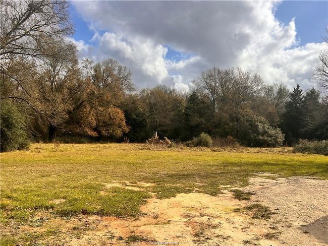 View of undeveloped land | Image 27