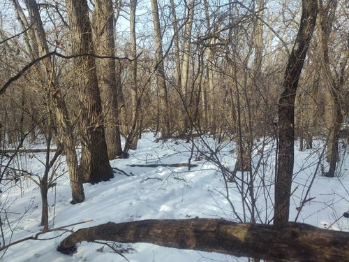 11 109th St, Trevor, WI, 53179 | Card Image