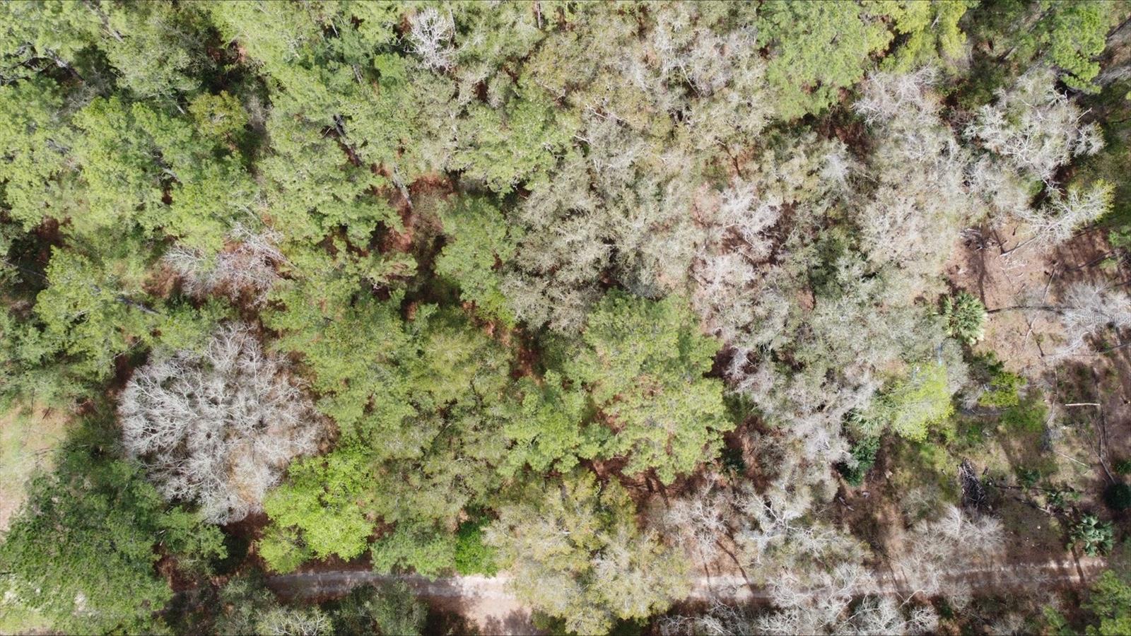 Land in OCALA 5