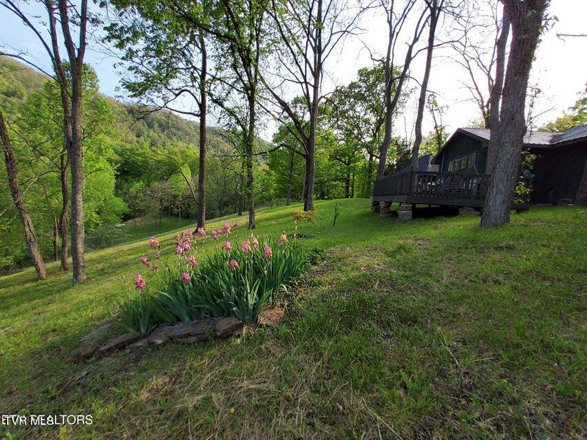 Hedden Way, Thorn Hill, TN 37881