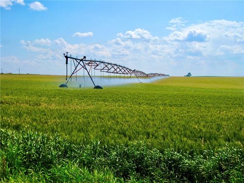 0 Buena Vista Road, Other, MT, 59486 | Card Image