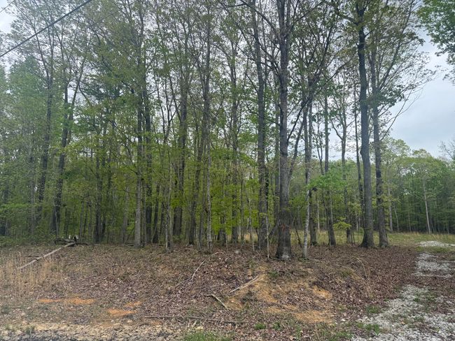 0 Deerwood Dr, Home with 0 bedrooms, 0 bathrooms and null parking in Sewanee TN | Image 9