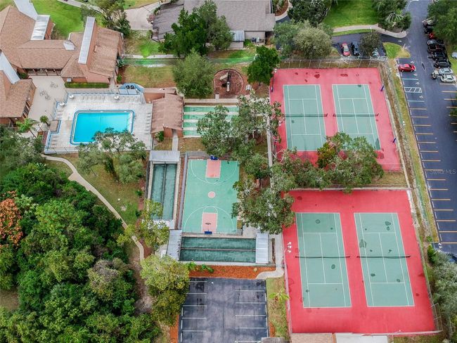 12101 Meadowbrook Ln, House other with 3 bedrooms, 2 bathrooms and null parking in Bayonet Point FL | Image 91