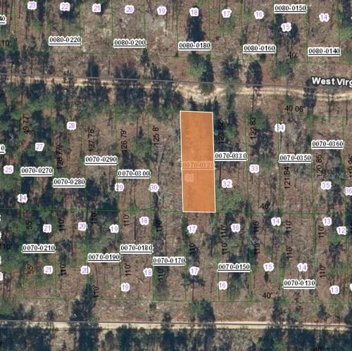 125 W Virginia St, Hawthorne, FL, 32640 | Card Image