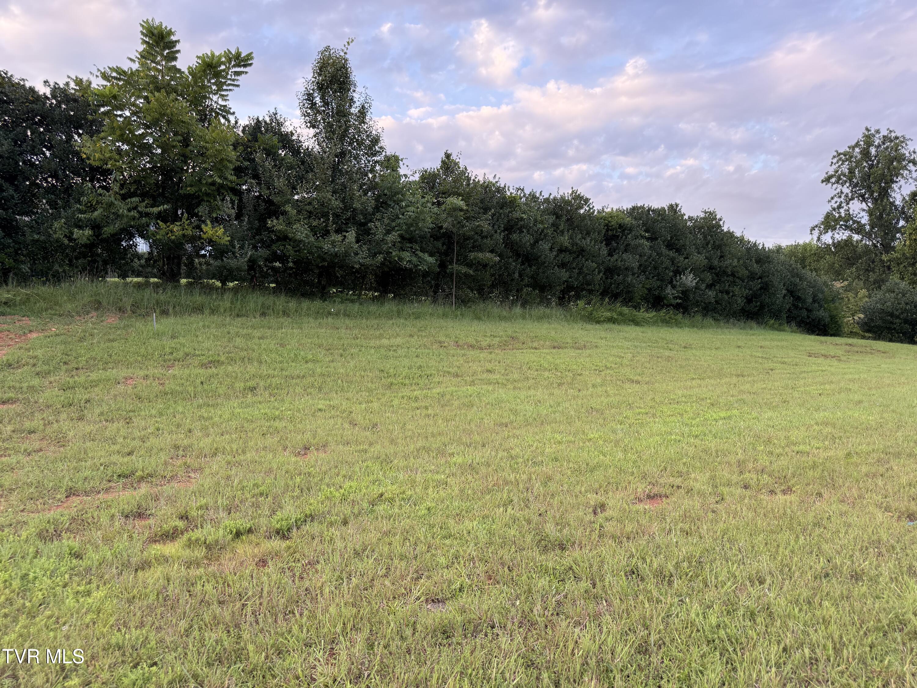 Land in Kingsport