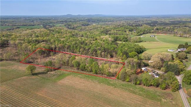 0 Jarvis Plantation Rd, Home with 0 bedrooms, 0 bathrooms and null parking in Dobson NC | Image 9