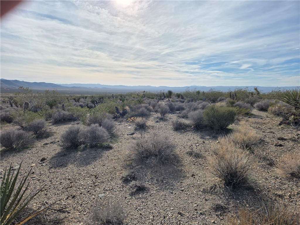 Land in Dolan Springs 3