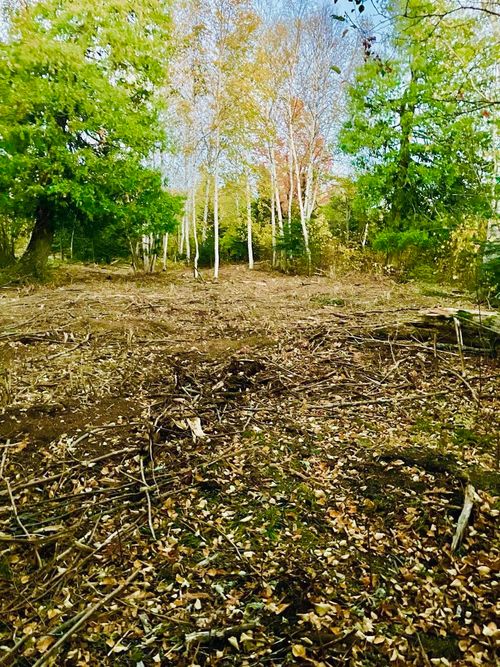 XXX Big Cedar Trl, Lutsen, MN, 55612 | Card Image