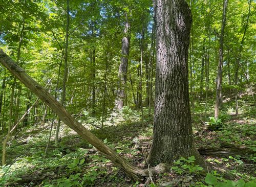 Lot 1 Ashland Ridge Rd, Reader, WV, 26167 | Card Image