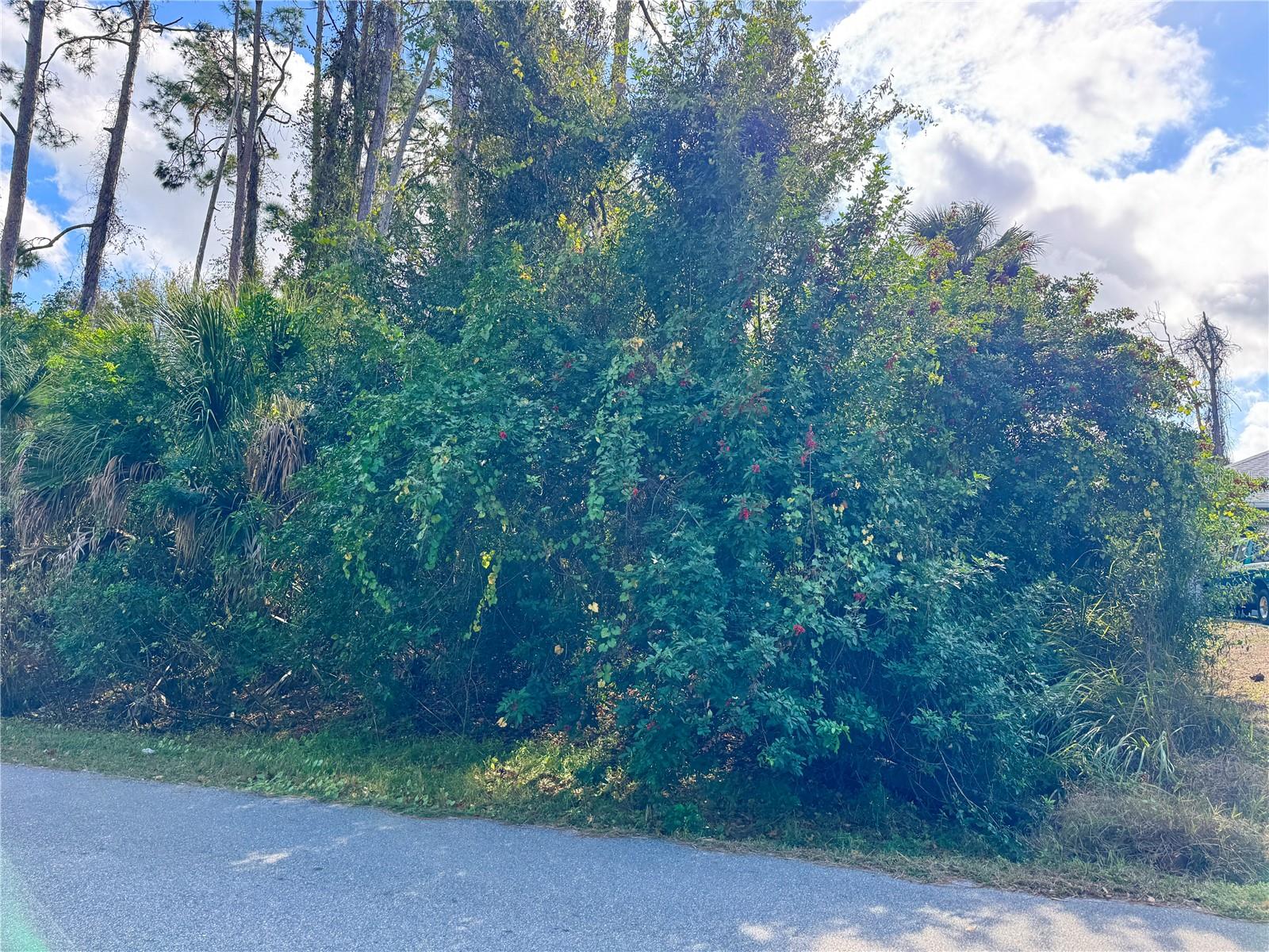 Land in NORTH PORT 5