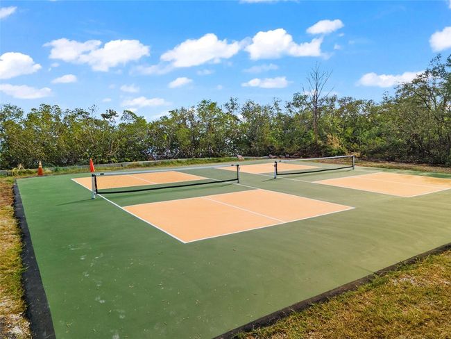 Community Pickleball | Image 60
